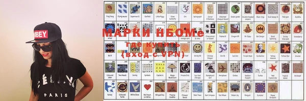 мдпв Елабуга