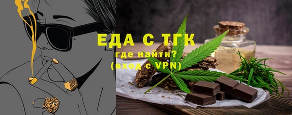 мдпв Елабуга