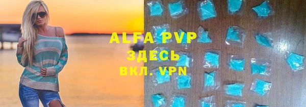 мдпв Елабуга