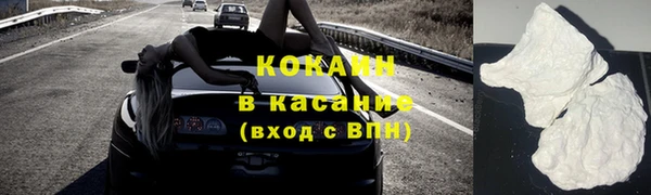 индика Елизово