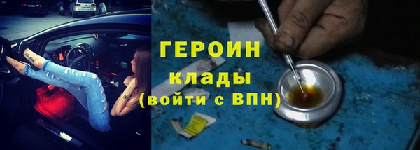 индика Елизово