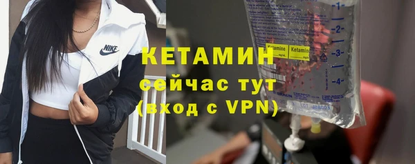 индика Елизово