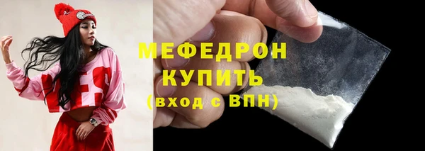 индика Елизово