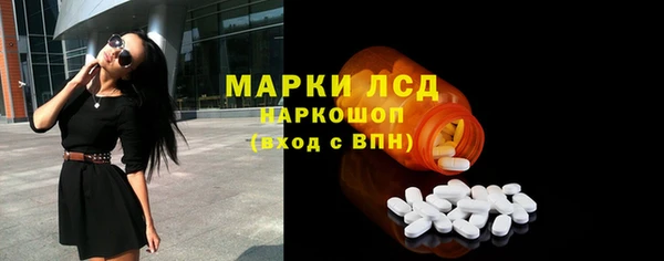 мдпв Елабуга