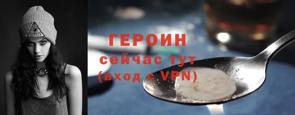индика Елизово