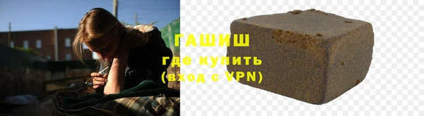 индика Елизово