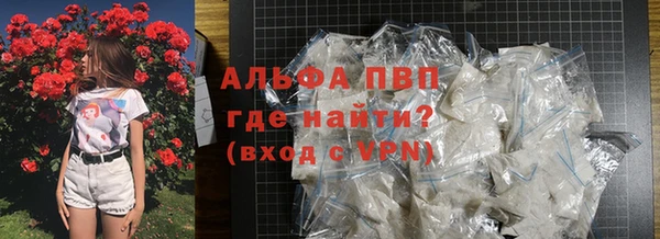 индика Елизово