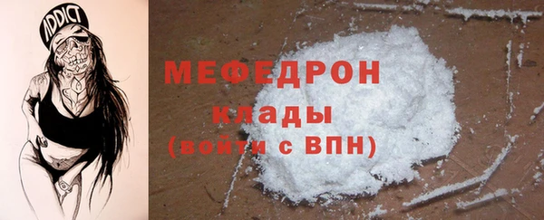 индика Елизово