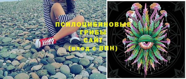мдпв Елабуга