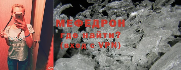 индика Елизово