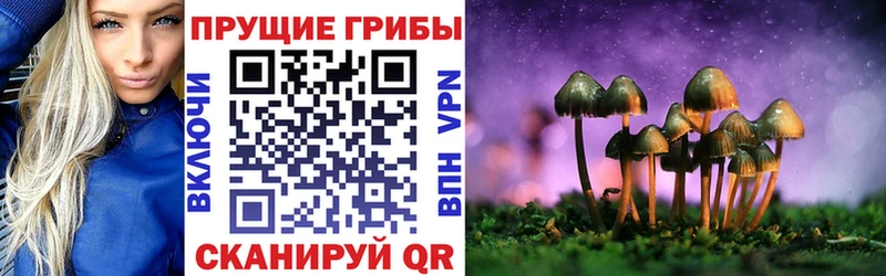 Галлюциногенные грибы Psilocybine cubensis  Купить где  Мариинск 
